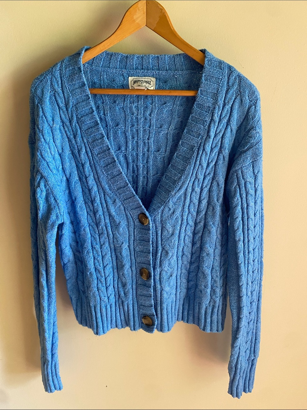 American eagle. Powder Blue Cable Knit V-Neck Button Cardigan